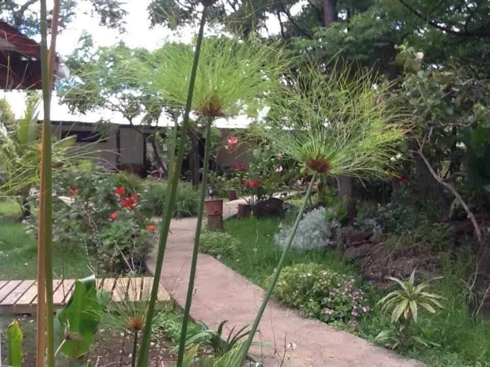 Atavai Hotel Rapa Nui Hanga Roa Exterior foto